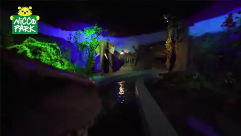 Shows & Attractions